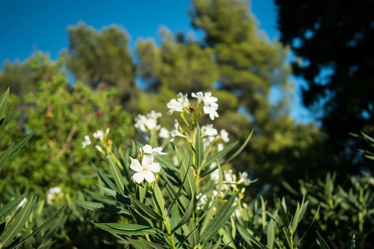 Bed & Breakfast Bed and Breakfast Domaine De Saint Clair Aix-en-Provence