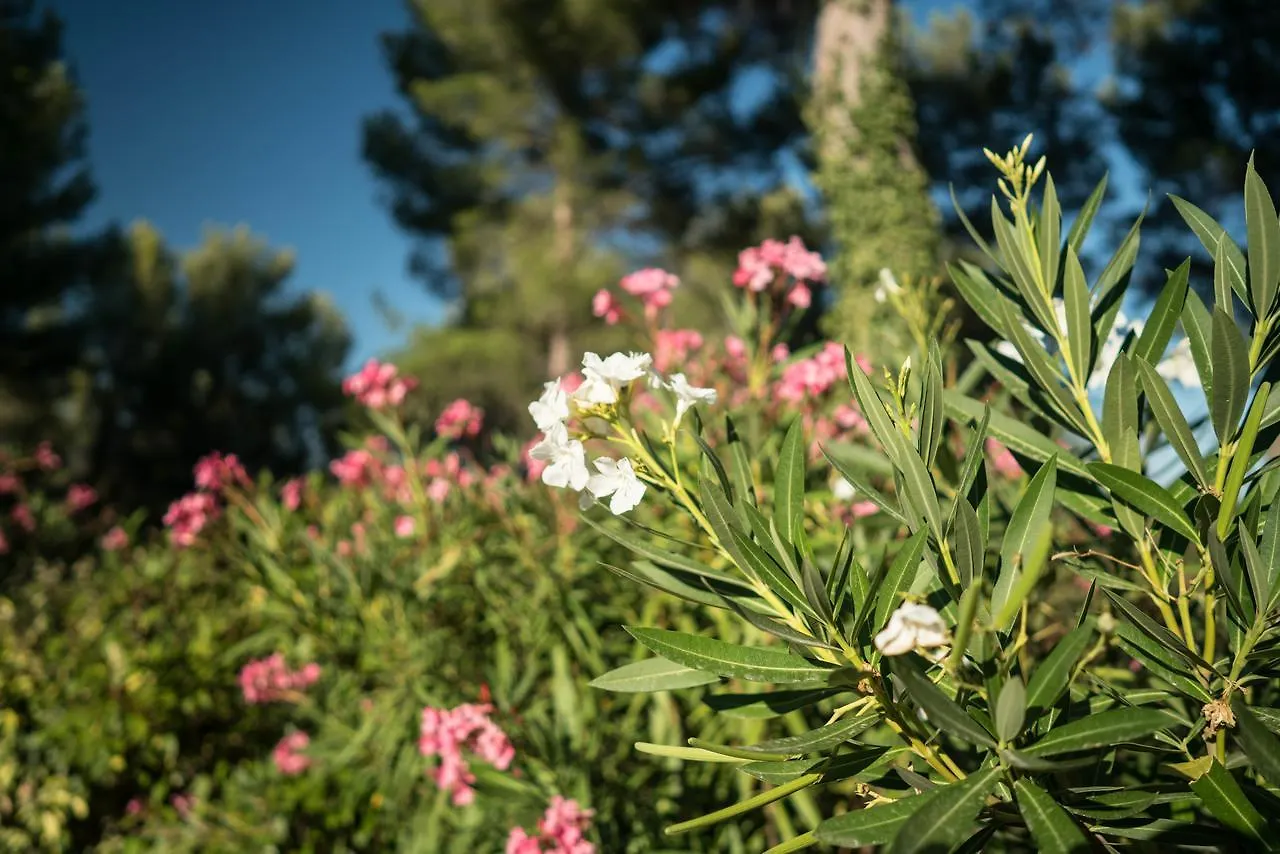 Bed & Breakfast Bed and Breakfast Domaine De Saint Clair Aix-en-Provence
