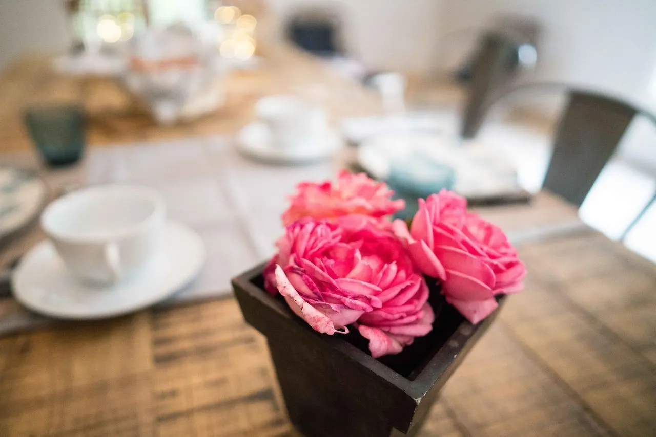 Domaine De Saint Clair Bed and Breakfast Αιξ-αν-Προβάνς 2*,