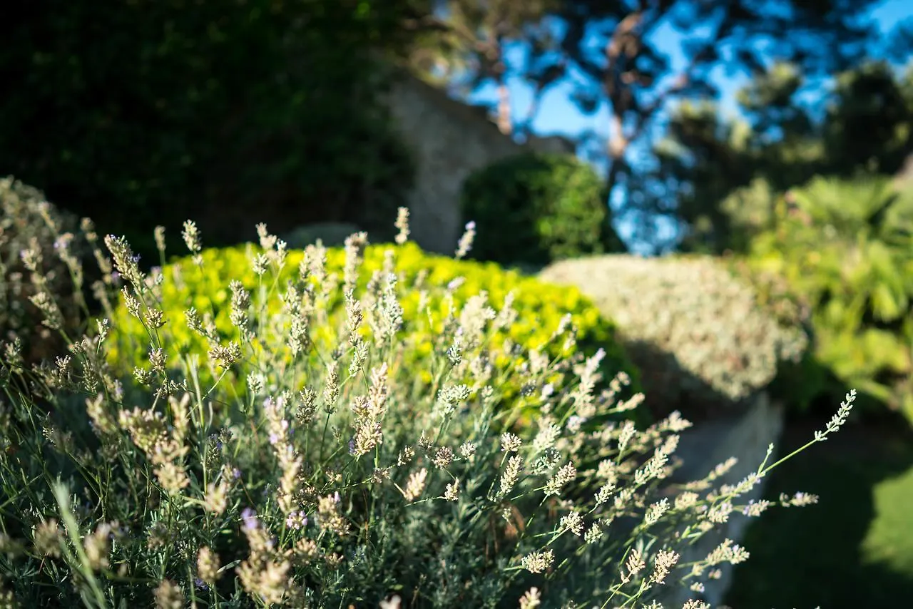 Domaine De Saint Clair Bed & Breakfast Aix-en-Provence