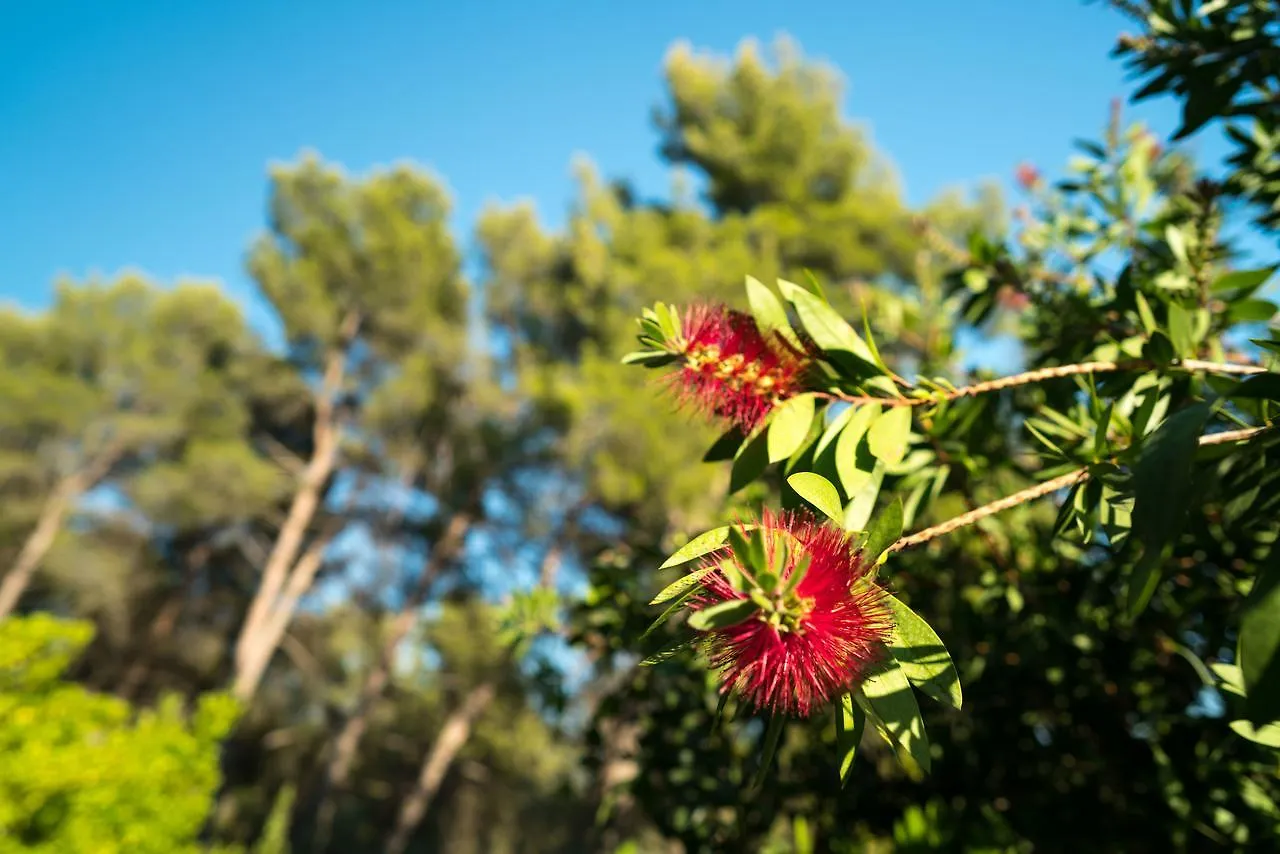 Domaine De Saint Clair Bed & Breakfast Aix-en-Provence France